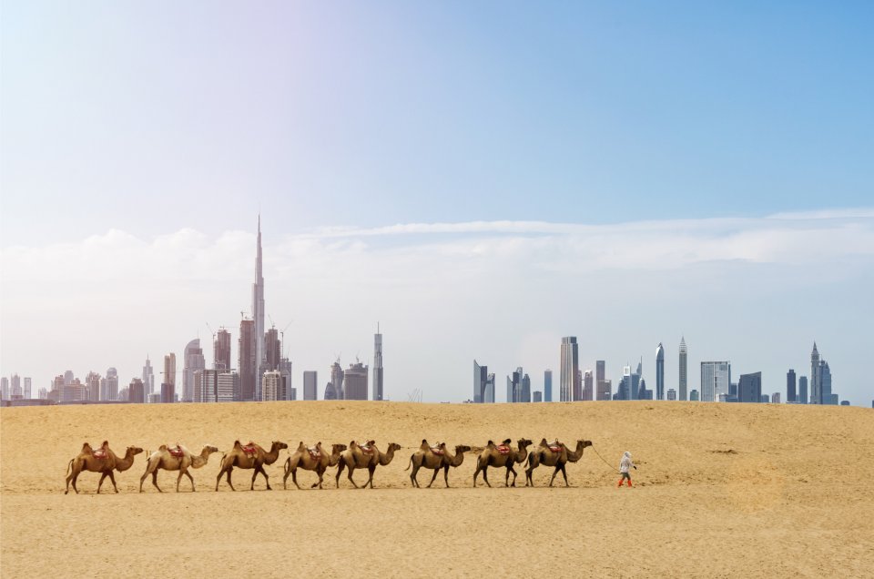 Last van hooikoorts? Bezoek Dubai! Foto: Getty Images