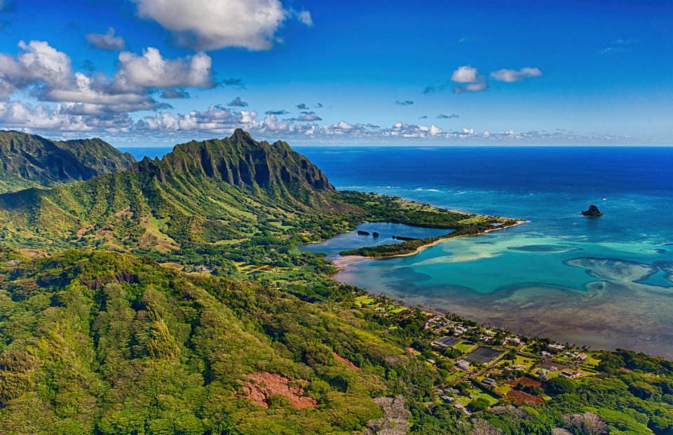 Last van hooikoorts? Bezoek Hawaï! Foto: Getty Images