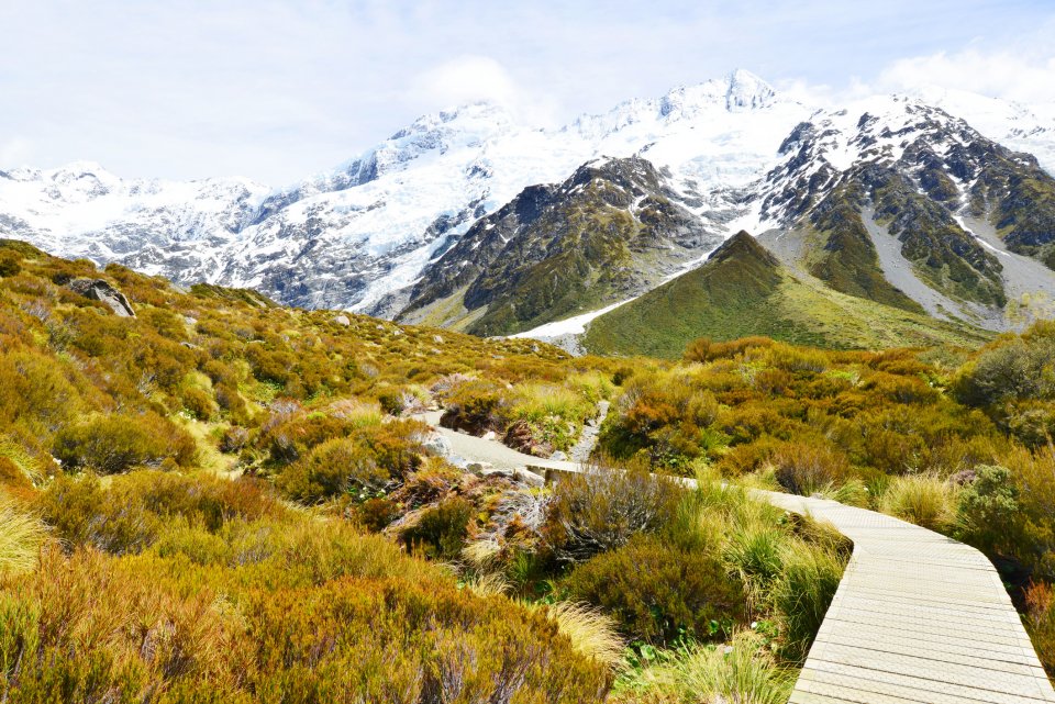 Last van hooikoorts? Bezoek Nieuw-Zeeland! Foto: Getty Images