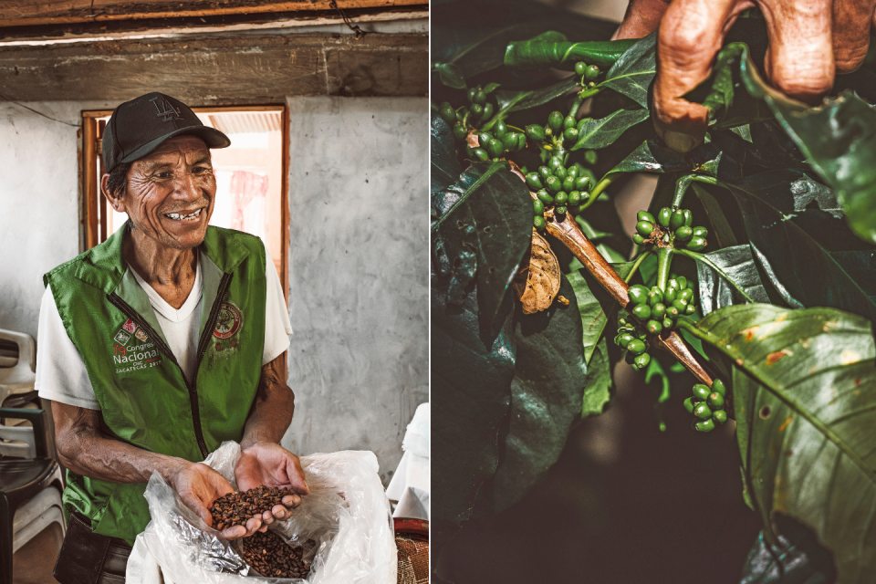 Bezoek een koffieplantage in Mexico. Foto: Marije van de Vlekkert