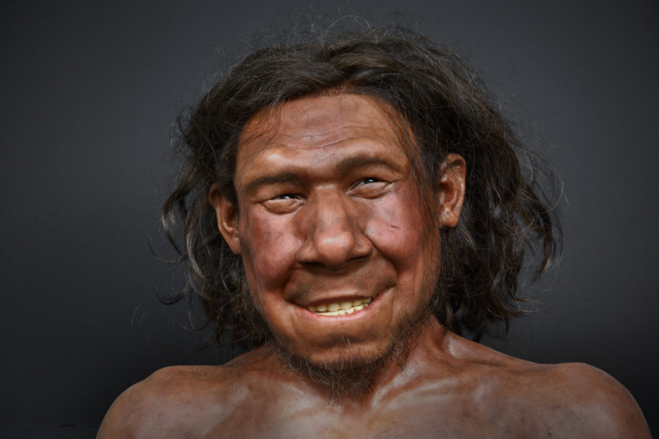 Ontdek de vroegste bewoners van ons land tijdens de tentoonstelling 'Doggerland'.