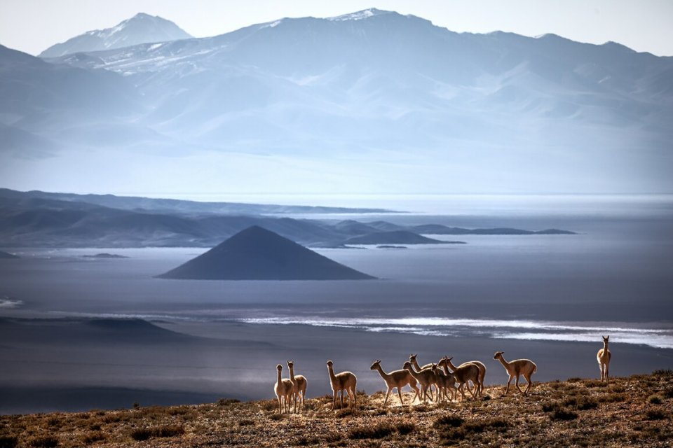 Marco Rutten_Chili_Puna_Atacama hoogvlakte