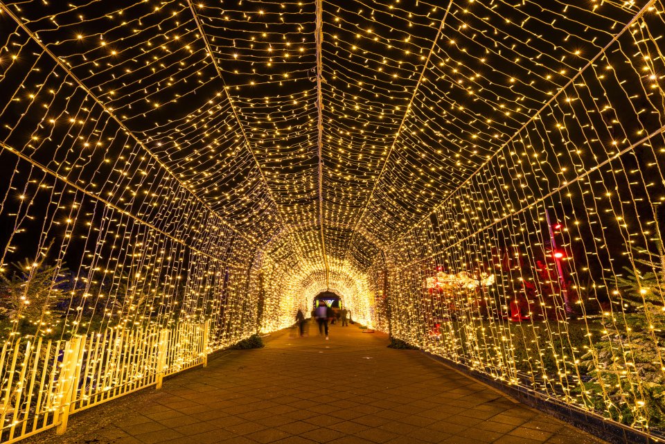 Kerstmarkt in Aarhus, Denemarken. Foto: Getty Images