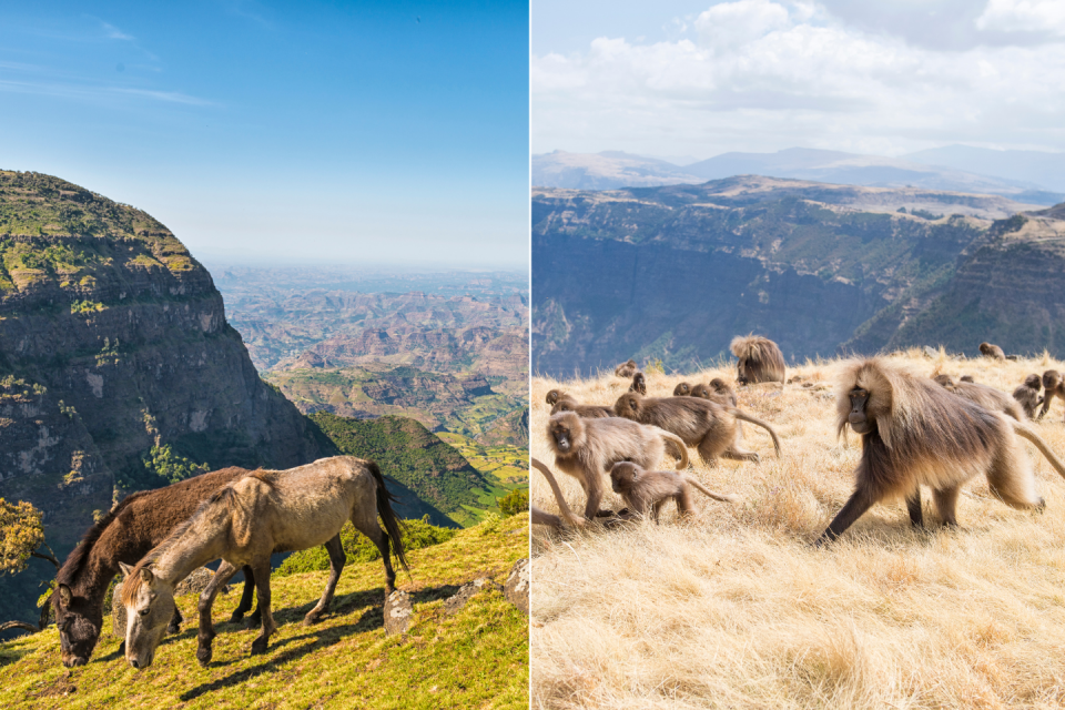 Simien Mountains, Ethiopië. Foto': Getty Images