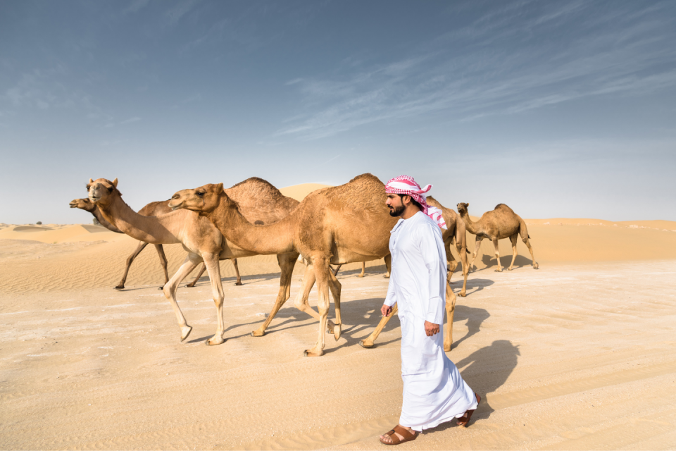 Alheda’a, Saoedi-Arabië, Verenigde arabisch Emiraten & Oman. Foto: Getty Images