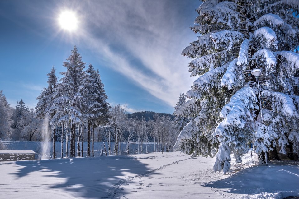 Gorski Kotar in de winter, Kroatië. Foto: Getty Images
