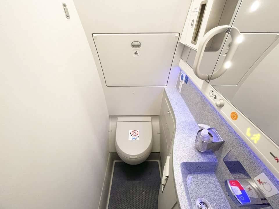 Vliegtuigtoilet is een bron van bacteriën. Foto: Getty Images