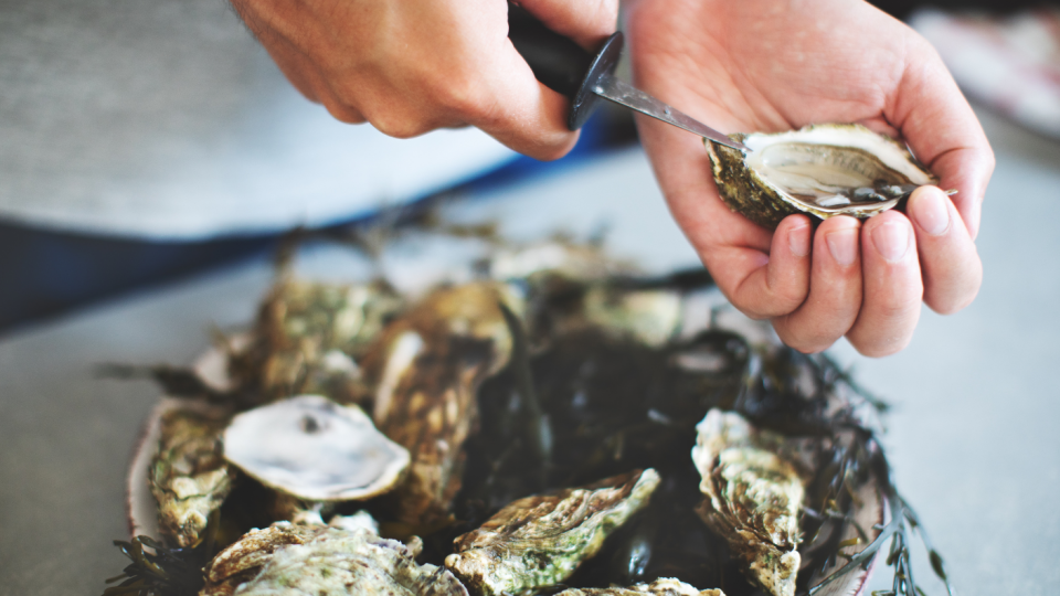 Proef oesters in Zeeland. Foto: Getty Images