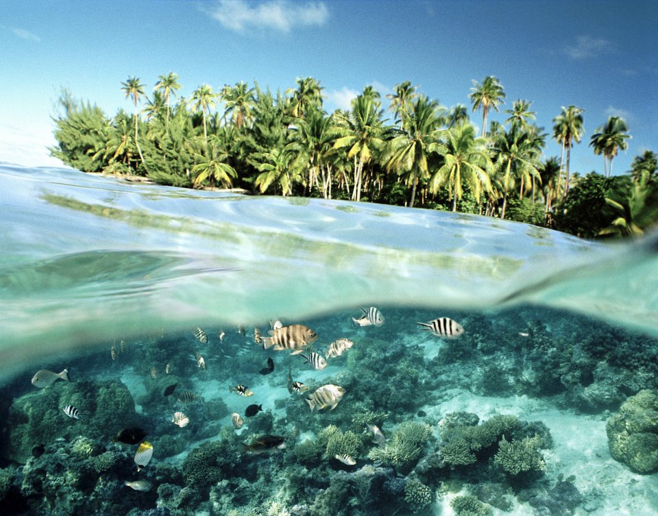 Huahine, Frans-Polynesië. Foto: Getty Images
