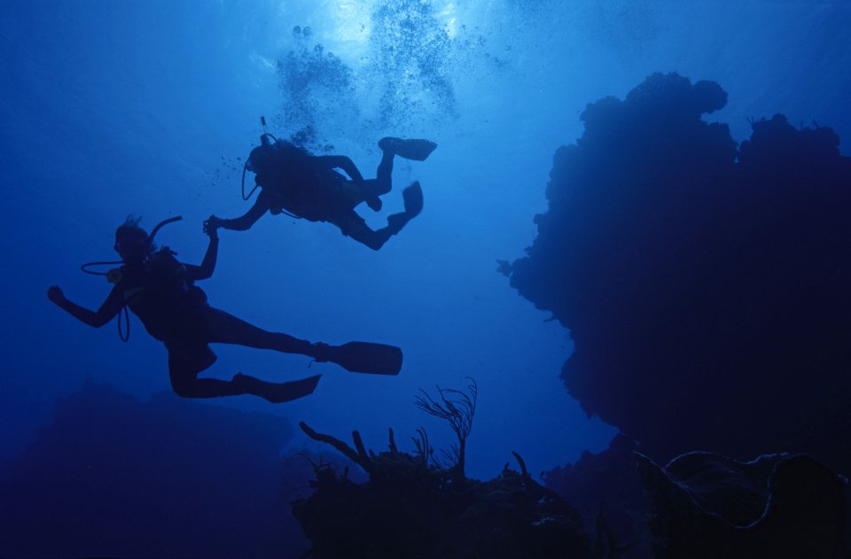 Snorkelen en duiken op Corsica. Foto: Getty Images