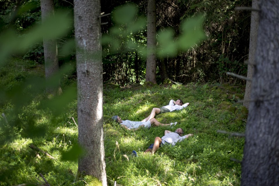 Kom tot rust in de bossen van Murau, Oostenrijk. Foto: Icarus/ Steiermark Turismus