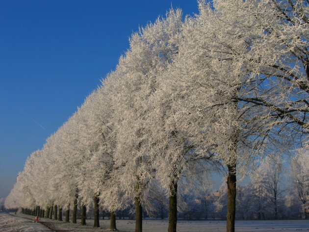 winter in Amersfoort