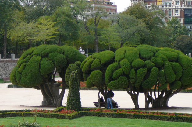 bomen in Retiro park
