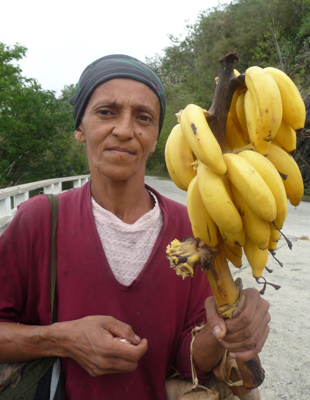 bananen te koop