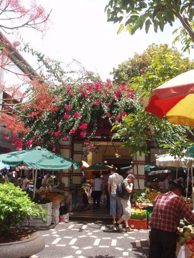 De wekelijkse fruit en bloemenmarkt.