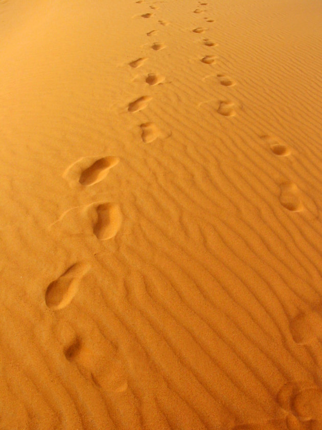 Leave only footprints...