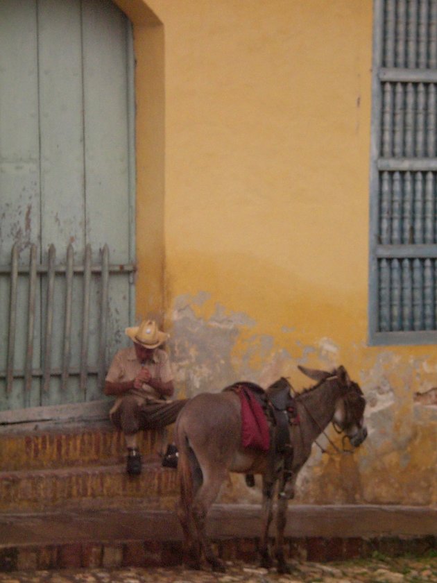 Man op ezel in Trinidad