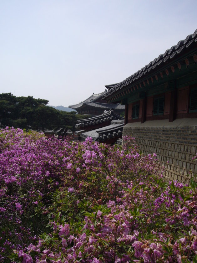 Changdeokgung Paleis 