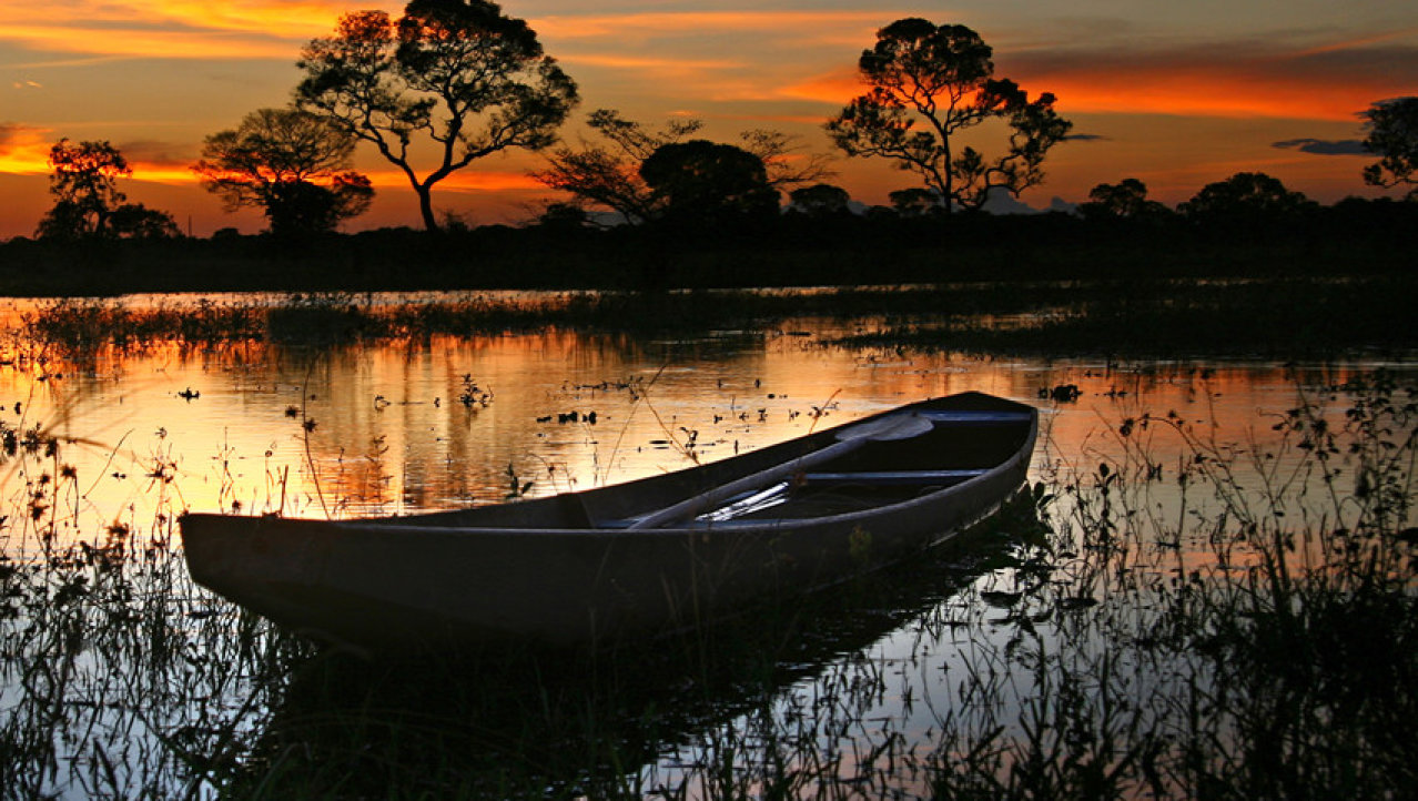 Pantanal schemering