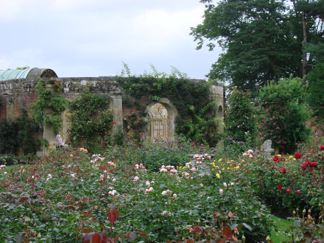 Britse cottage garden
