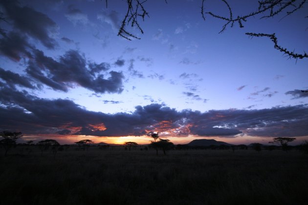 Tanzania, Serengeti