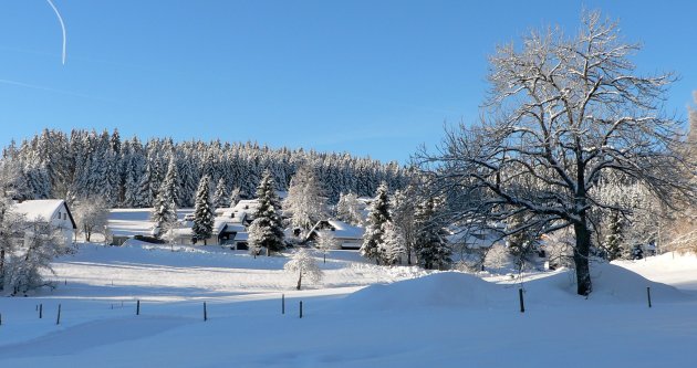 sneeuwlandschap