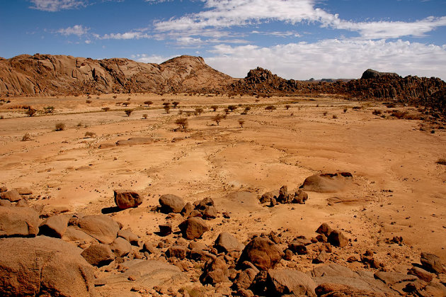 Woestijngebied