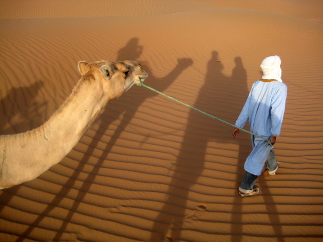 Ochtend in de Sahara