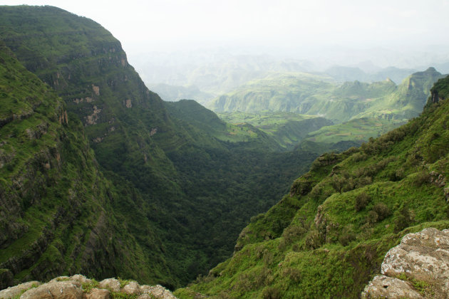 Simien NP