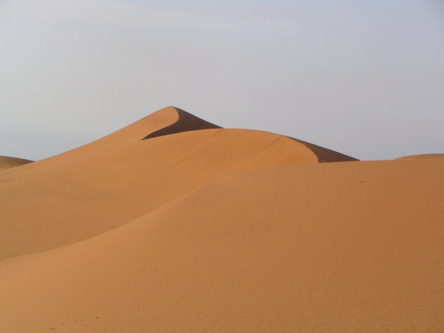 Woestijn westelijke sahara