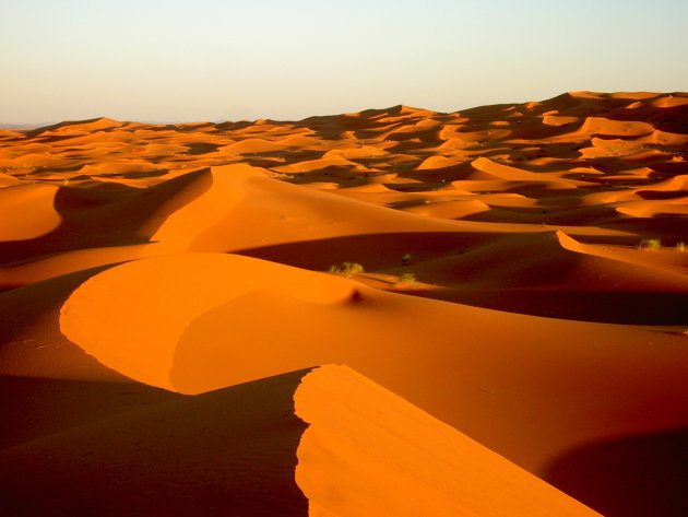 Sahara woestijn