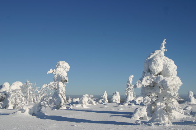 Fins landschap