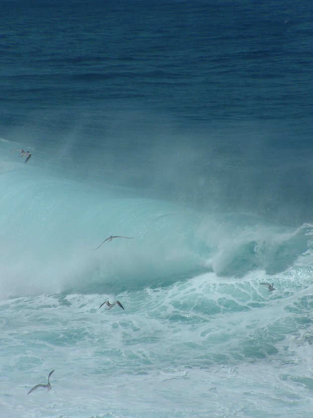 Wave Kangaroo Island