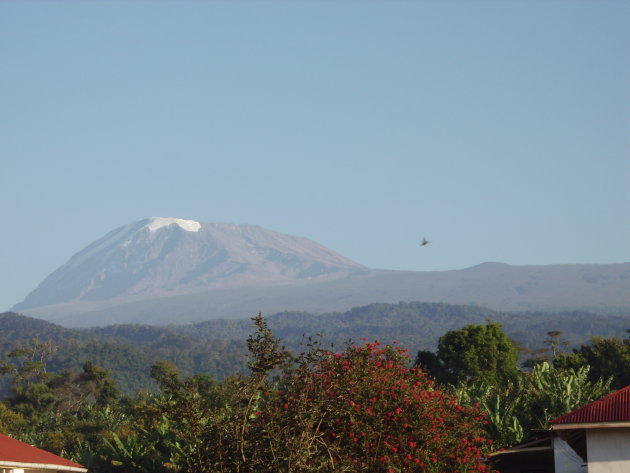 Kilimanjaro vanuit Maua