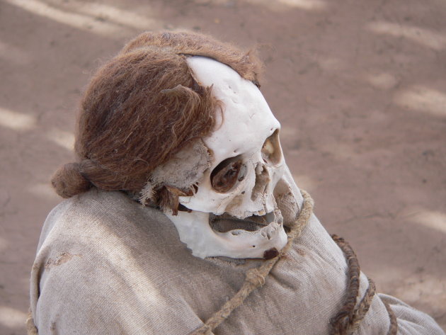 Mummie in Chaucilla