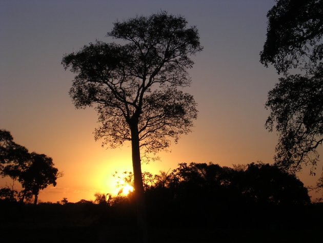 Pantanal, zonsondergang