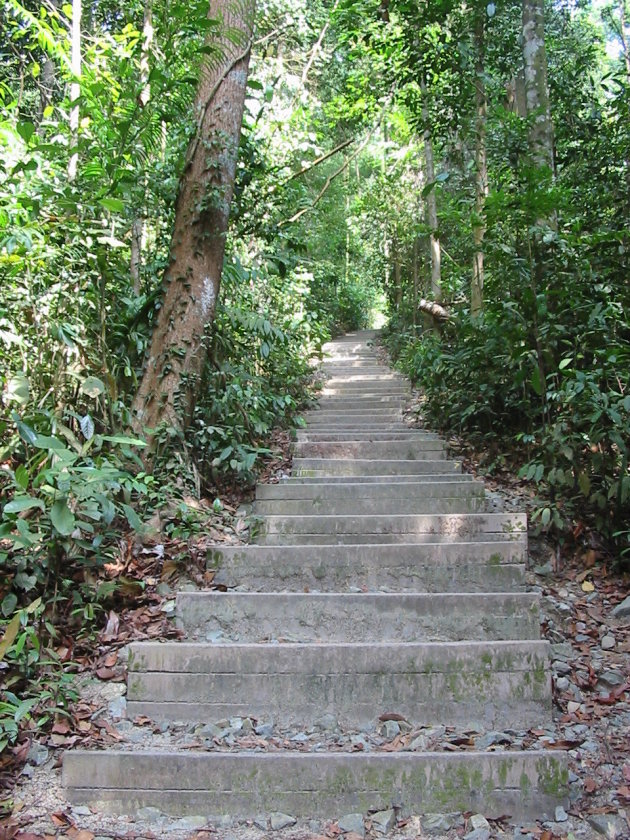 Stukje klimmen in Bukit Timah