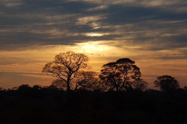 Zonsopkomst Pantanal