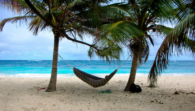 paradise in Barbados