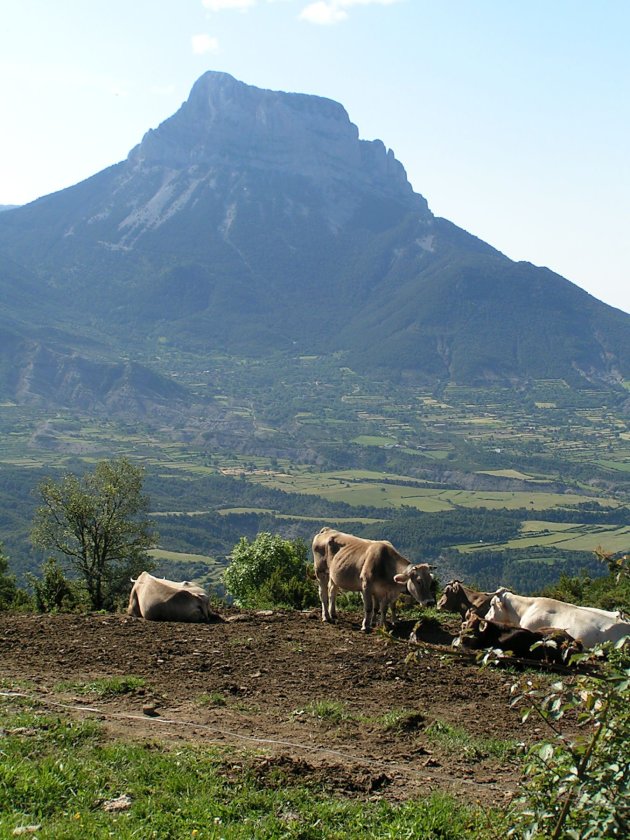 Puertolas - Uitzicht op Pena Montanese (2291 m)