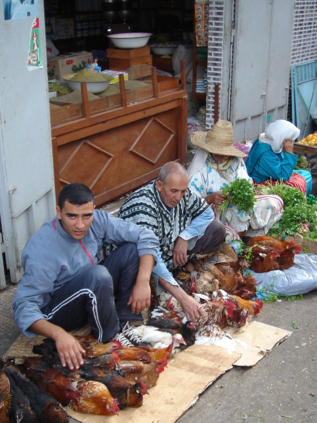 Kippenmarkt in Tanger
