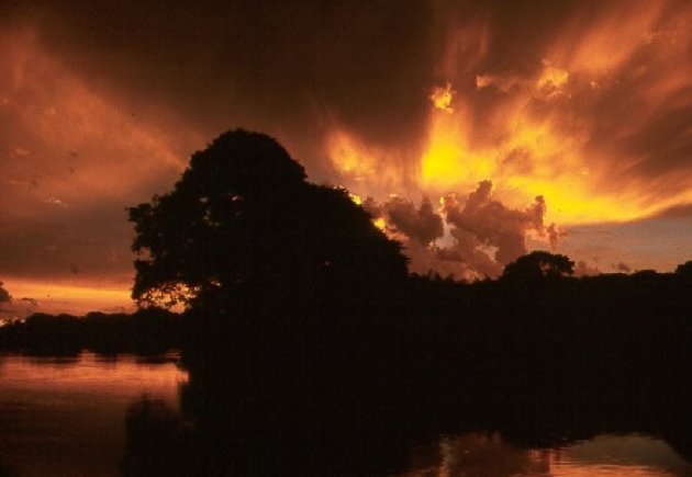 Zonsondergang in de Pantanal