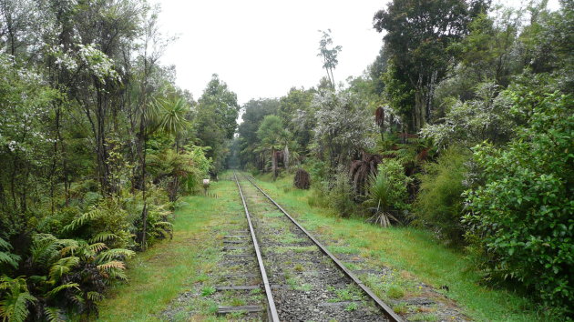 rails door de jungle