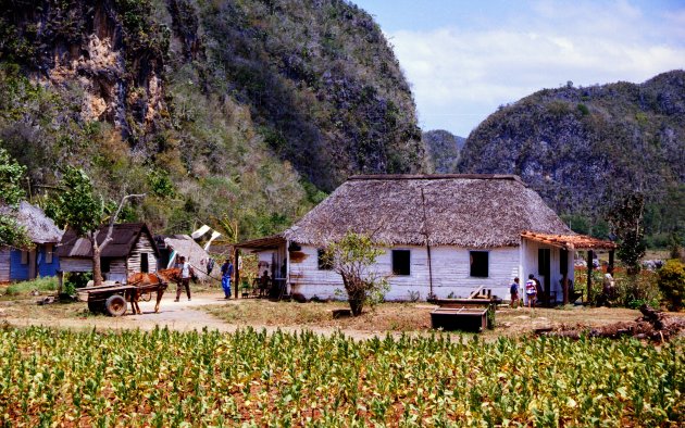 Het Cubaanse platteland