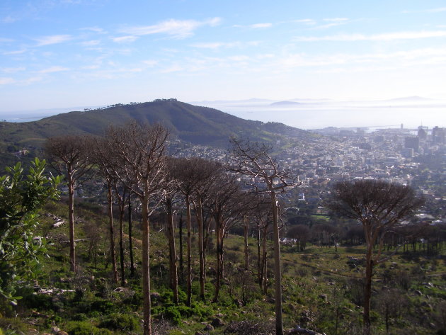 Uitzicht Tafelberg