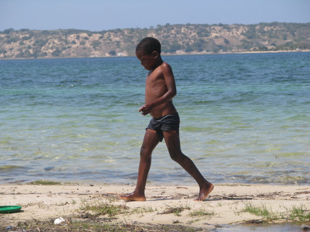 Mozambikaantje op het strand