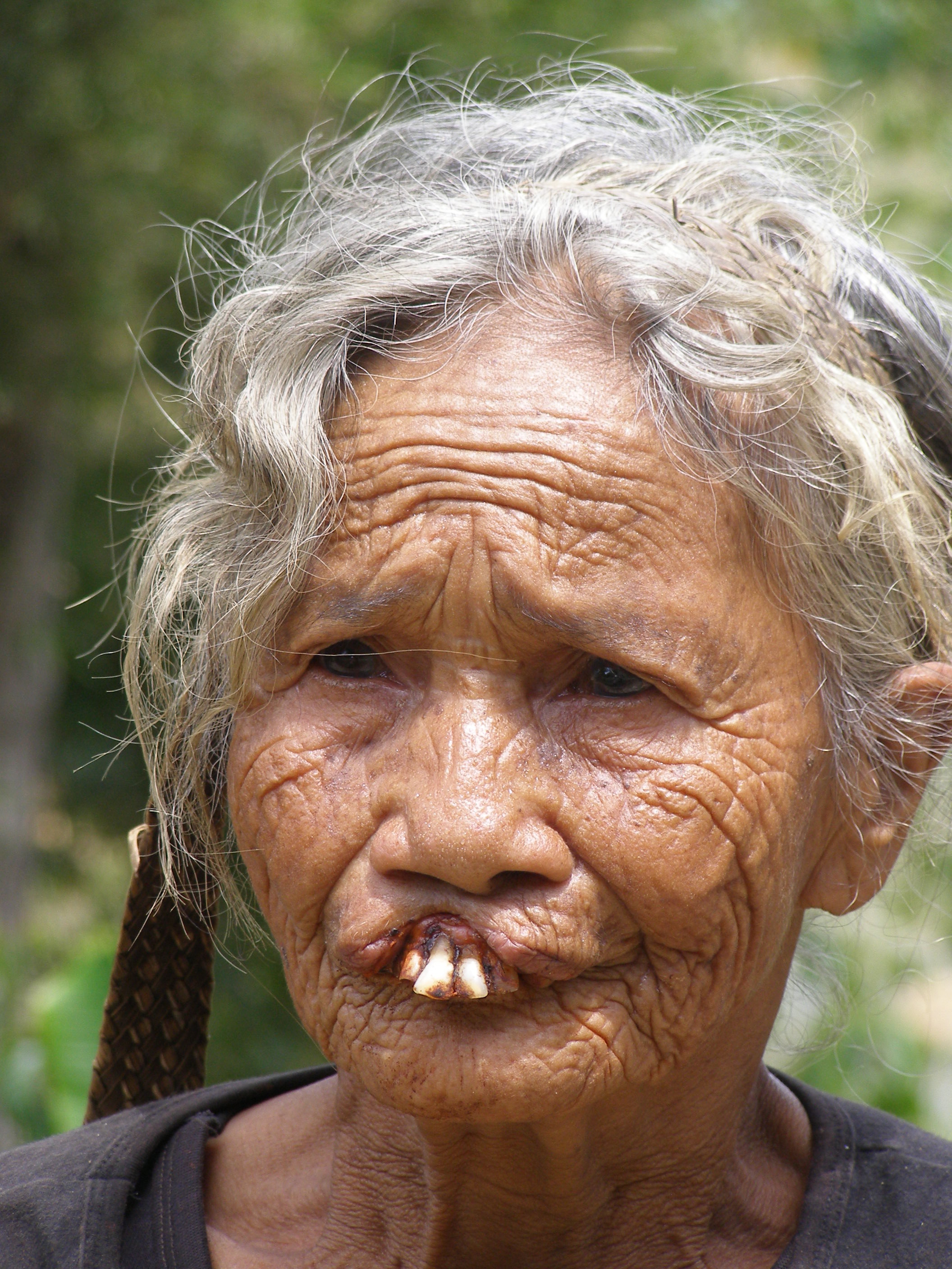 Kritisch synoniemenlijst Dwaal Slechte tanden in Celebes (Sulawesi) | Columbus Travel