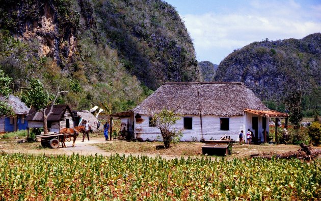 Het Cubaanse platteland
