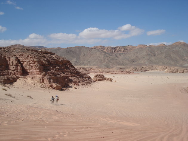 Sinaiwoestijn