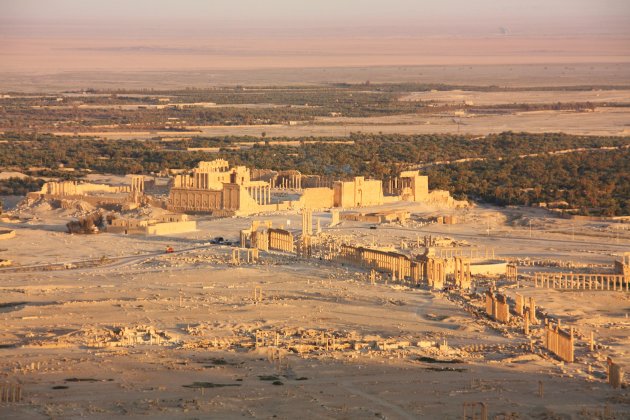 Palmyra sunset